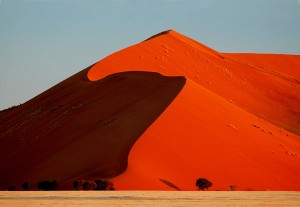 dsc_1370 Big Dune and trees, road to Sossusvlei, Namib Desert