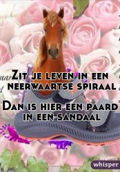 paaard in sandaal