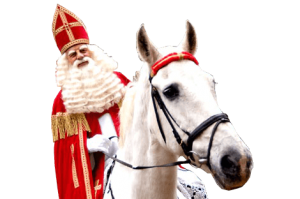 sinterklaas-paard